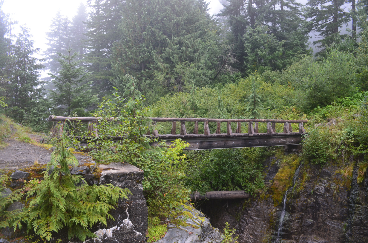 A side view of the North Puyallup Footbridge