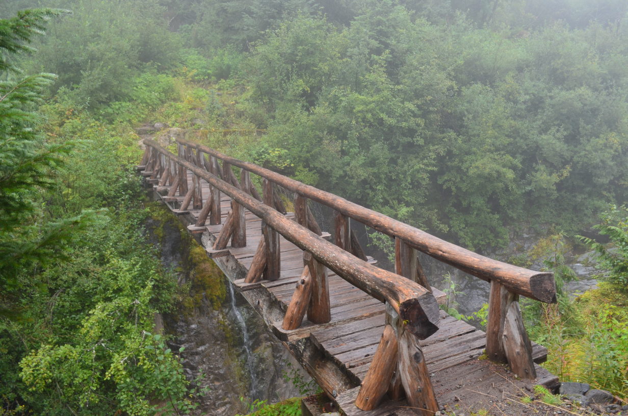 The footbridge over North Puyallup River