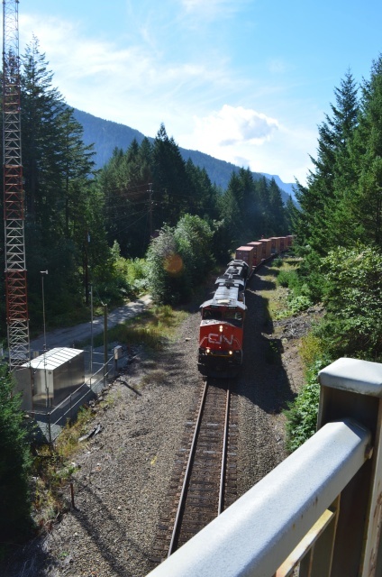 Train headed underneath Alexandra bridge