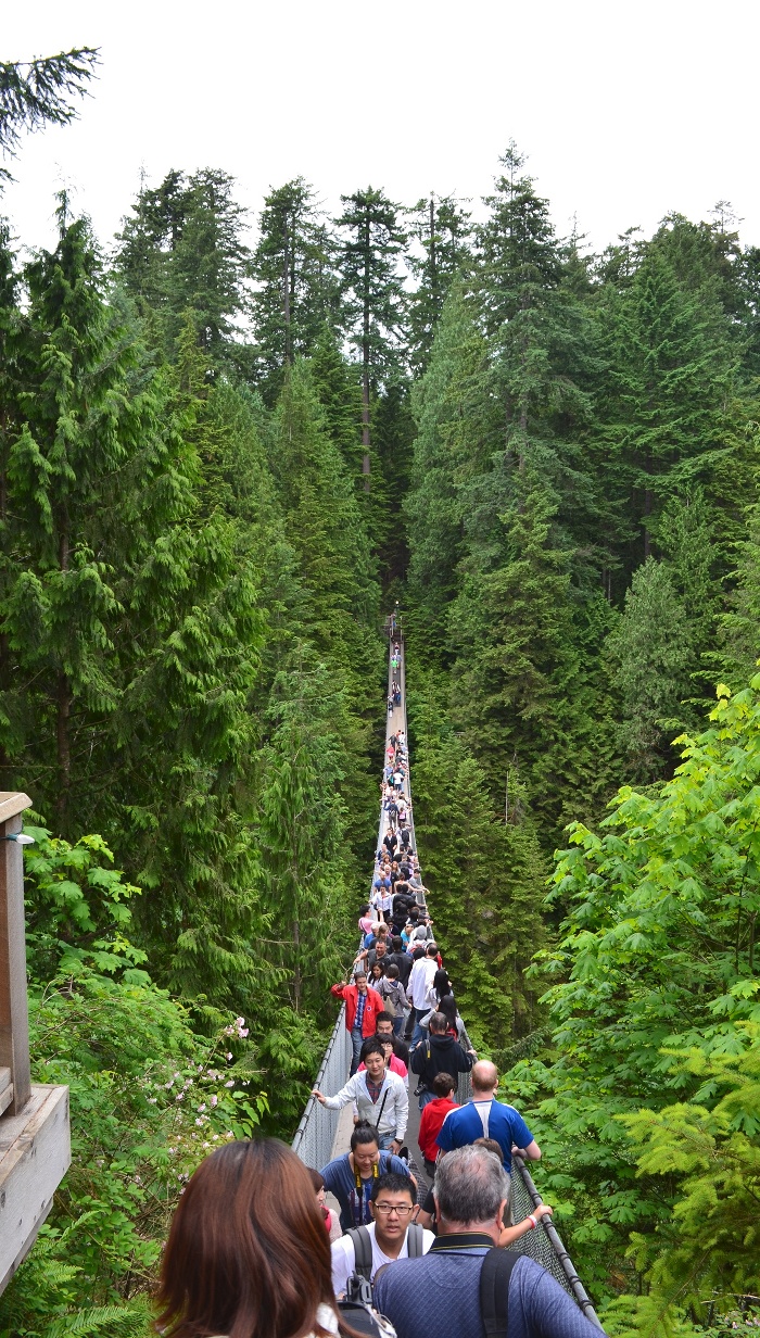 View from one side of bridge, looking across.