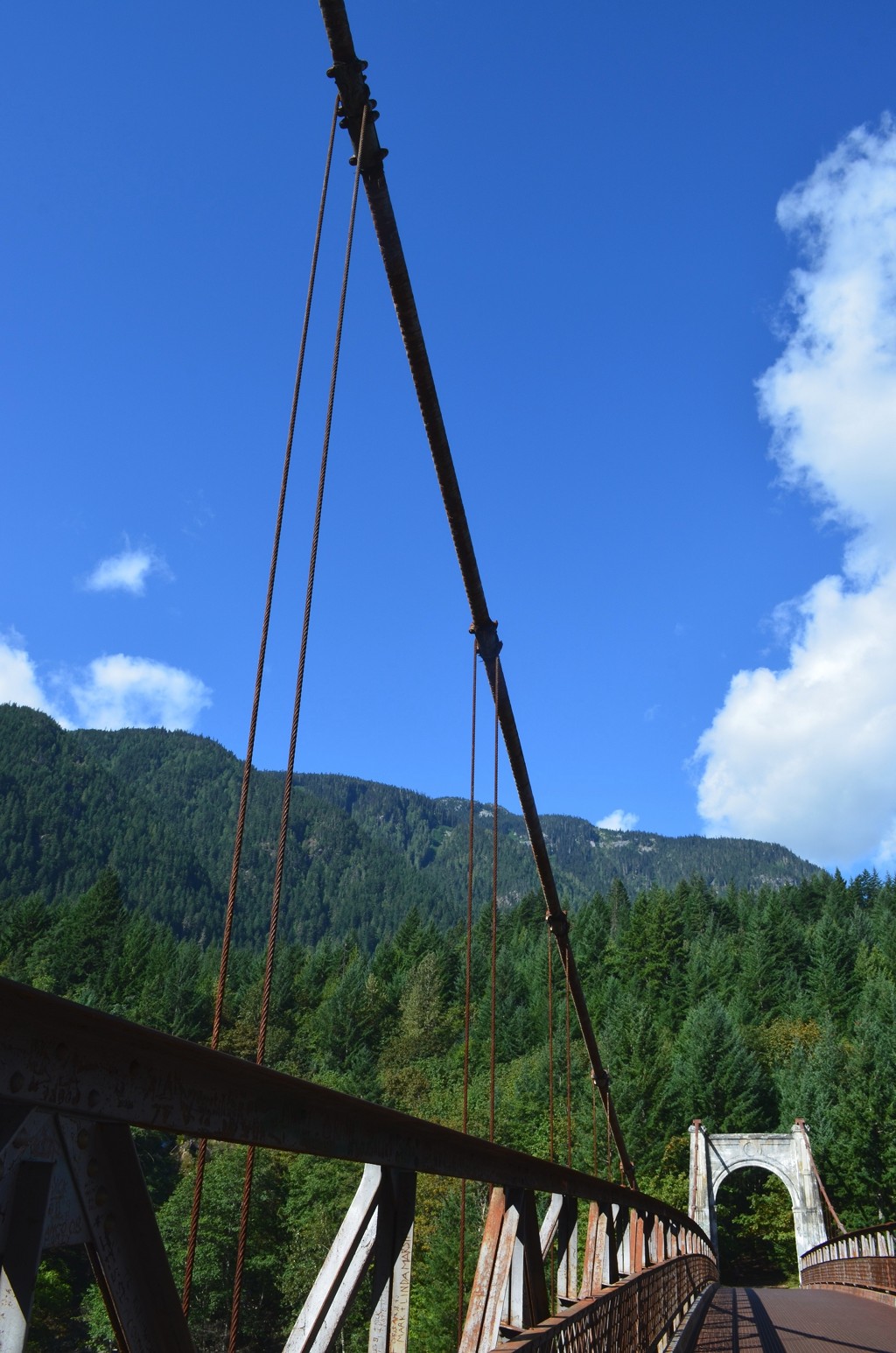 Bridge deck, rail, and cables.