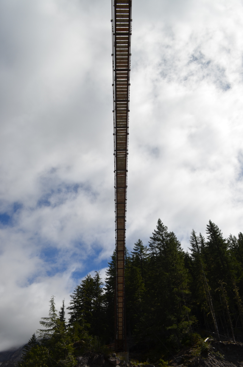 Looking up at Tahoma Creek Suspension Bridge from below.